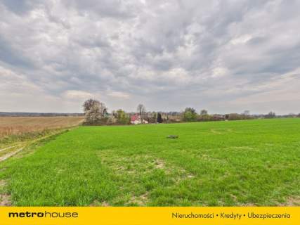 Ucieczka od miasta i aż 80 arów prywatności