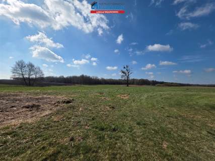 Dom na sprzedaż, 13800 m2, Konary