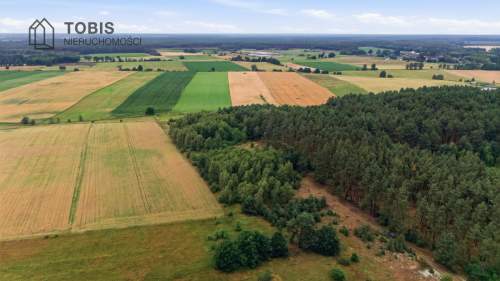 Działka Radosiew / WZ 2 DOMY STAJNIA