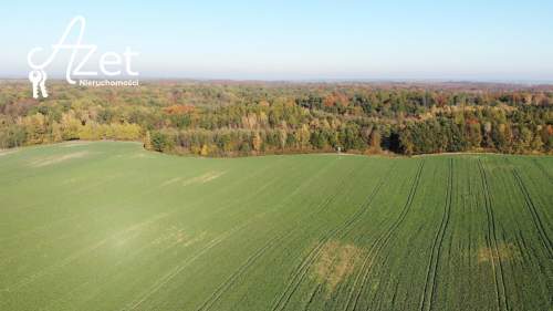 Działka budowlana na sprzedaż, 1500 m2, Dziśnity