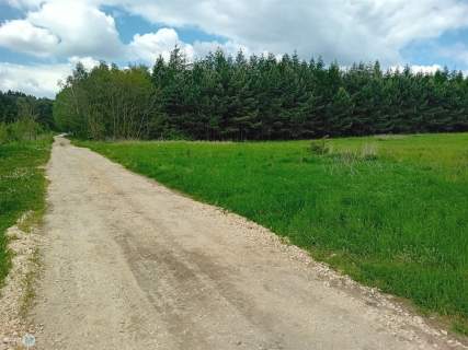 Widokowa działka otoczona lasem