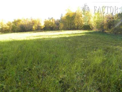 Rozdziele działka rolna 1,58 ha 1071S