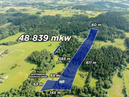 Siedlisko Pisarzowa prawie 5 ha