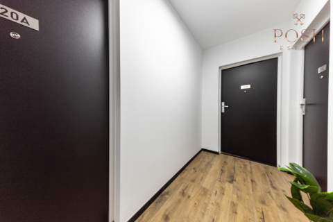 centrum przytulne studio Kępa Mieszczańska