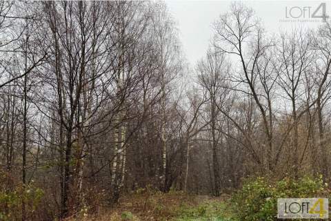 Budżetowa propozycja i/ lub ciekawa inwestycja.