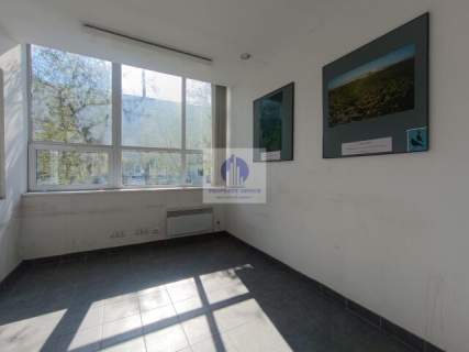 Bielany magazyn 1800 m2 do wynajęcia