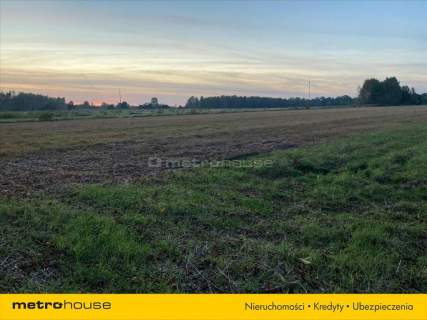 Działka rolna o pow. 6150 m2 - Kośminy
