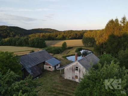 Dom, staw i prawie 2,5ha w gminie Bukowsko