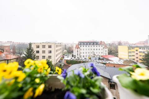 Atrakcyjne 3 pokoje termomodernizacja, winda, pełna własność