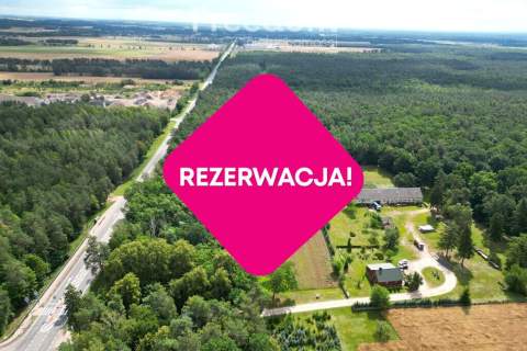 Działka budowlana z własnym lasem 5804 m Hola
