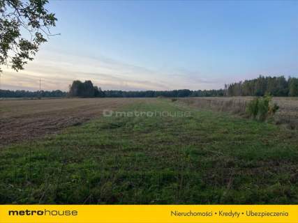 Działka rolno-budowlana 7964m2 - Kośminy