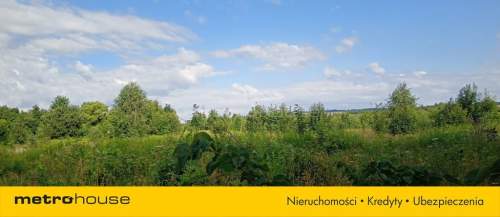 Grunty inwestycyjne 1,53 ha z WZ