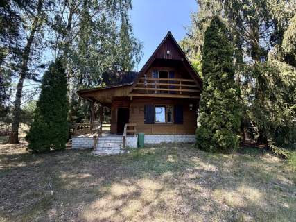 Domek całoroczny z prywatnym laskiem - Adamów
