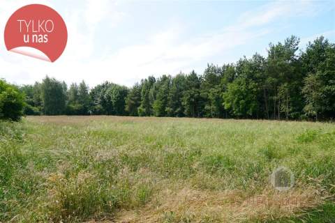 Zadrzewiony grunt rolny, 1,73 ha przeliczeniowych