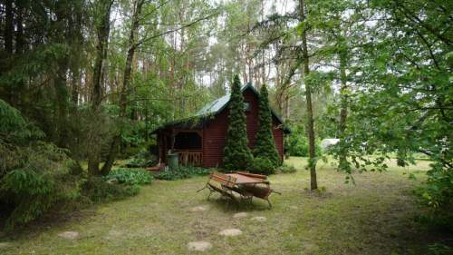 Domek ukryty w małym lesie, blisko rzeki, Cieciory gm. Turośl