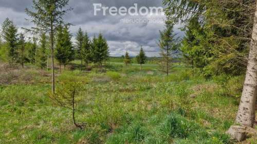 Malownicza działka 750m od jez Narie Warmia Mazury