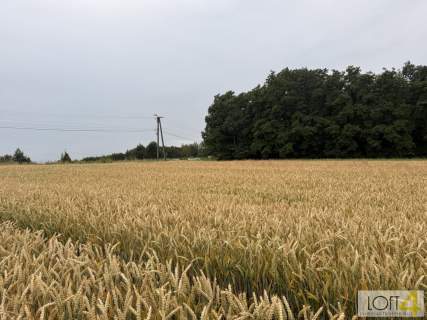 Duża działka z WZ - wiele możliwości