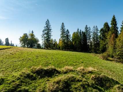Tatry w zasięgu wzroku 