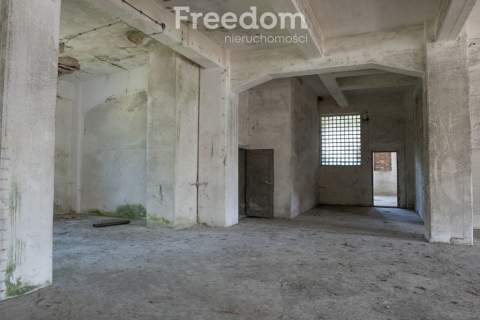 Duża hala 2500m2 wraz z gruntem, źródło wody