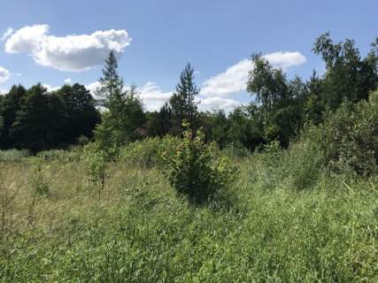 Atrakcyjna działka budowlana w Leleszkach nad Jezi