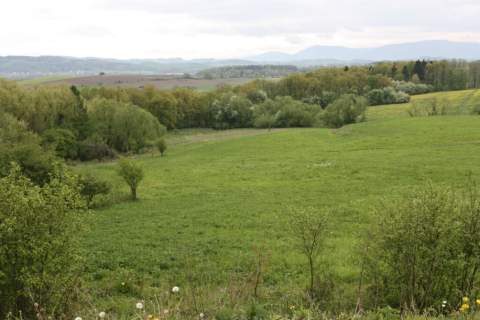 Przetarg - obręb geodezyjny Ogrodzona