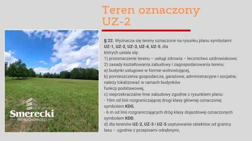 Ponad 2ha działka usługowa w Nałęczowie