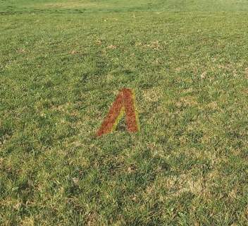 30 AROWA GRANICZĄCA Z PARKIEM KRAJOBRAZOWYM