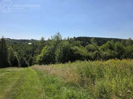 46 ARÓW W TUCHOWIE - BLISKO LASU, BLISKO MIASTA