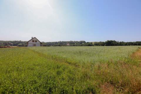 Działka budowlana Siemiechów - gm. Gromnik