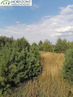 Koleczkowo - działki budowlane