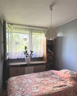 Legnicka/5 pokoi/duża loggia/piwnica