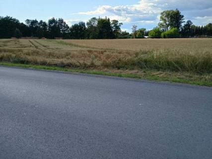 Działka rolna zagrodowa gmina Zarzecze