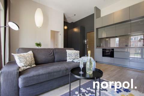 Nowoczesne mieszkanie z loggią i tarasem / Modern apartment with...