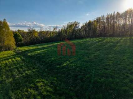 3,33 ha z lasem i strumykiem - teren pod zabudowę