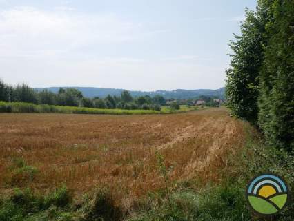Pisary gm. Zabierzów - działka budowlana 9900 m2