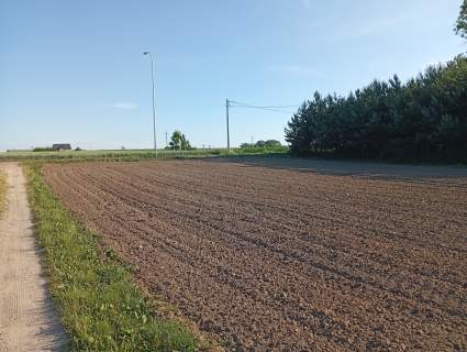 Działka budowlana Czyżew plan zagospodarowania, własność