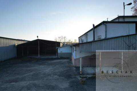 Do wynajęcia powierzchnie od 100-500m2