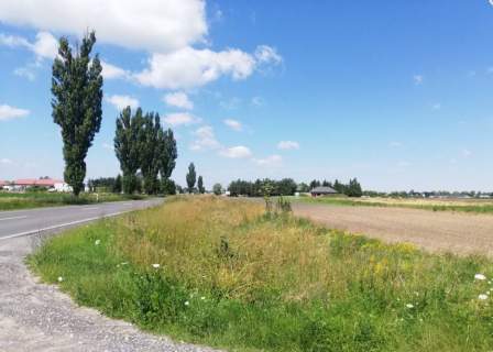 Działka inwestycyjna na sprzedaż, 14751 m2, Błaszki