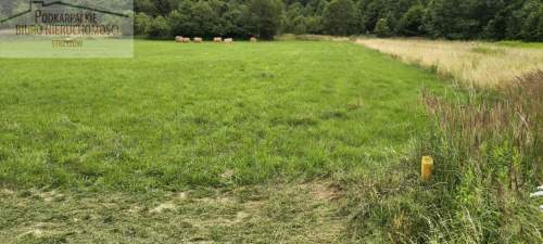 Działka budowlana na sprzedaż, 2000 m2, Godowa