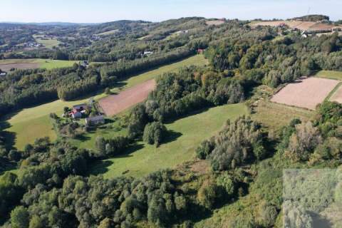 Działka po starym siedlisku 1,67 ha z lasem