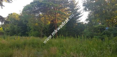  Blisko WKD na dom 2 lokal Media 1600m2 