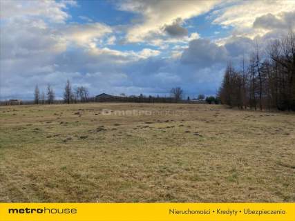 Atrakcyjna działka ze stawami - 3,62 ha gm. Pniewy