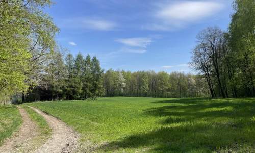 Siedlisko na polanie, pod stadninę lub agroturystykę, 30 min