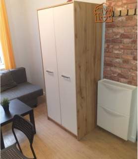 Studio, pet-friendly - Cmentarna 24, Śródmieście