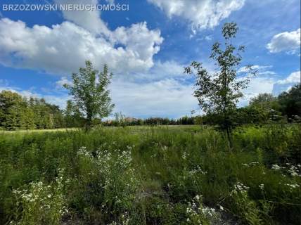 Wilanów, 1200 m2, WZ mieszkaniowa, jednorodzinna