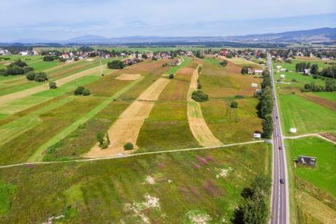 Działka Groń