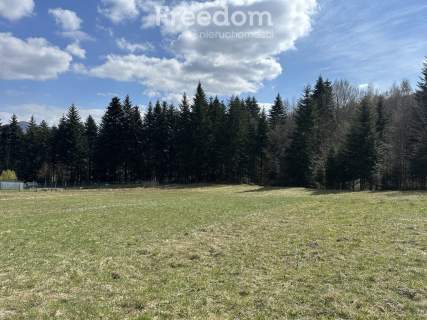 Działka w górach z linią lasu