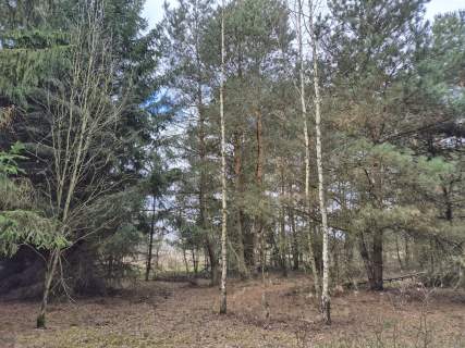 Działka budowlana 1434 m2, Kuklówka Radziejowicka