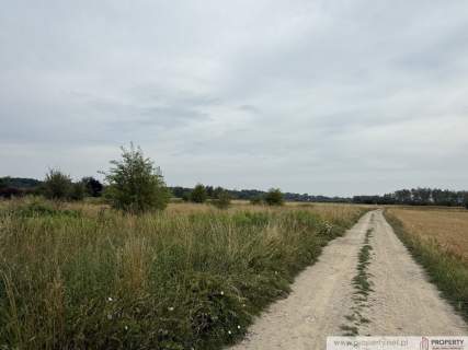 Działka z WZ w Straszęcinie   20 ar