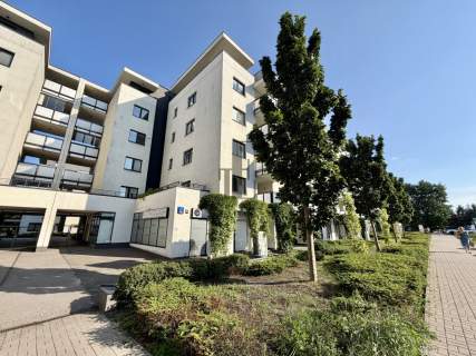 Biuro dla 15-20 Nowe budownictwo Od zaraz 